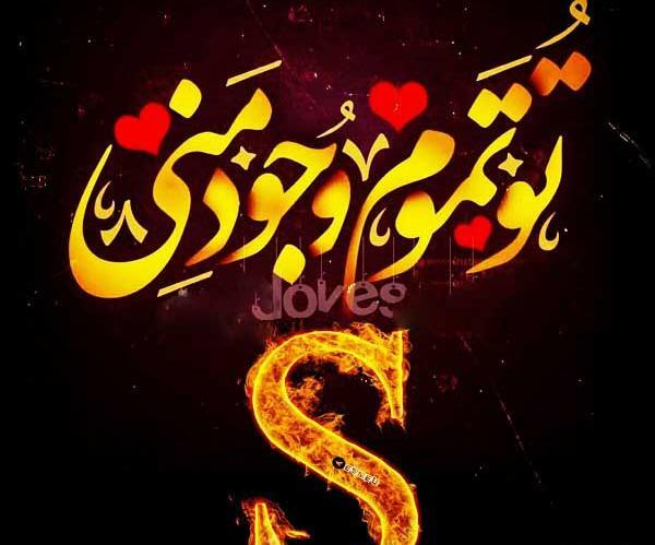عکس پروفایل عاشقانه حرف s