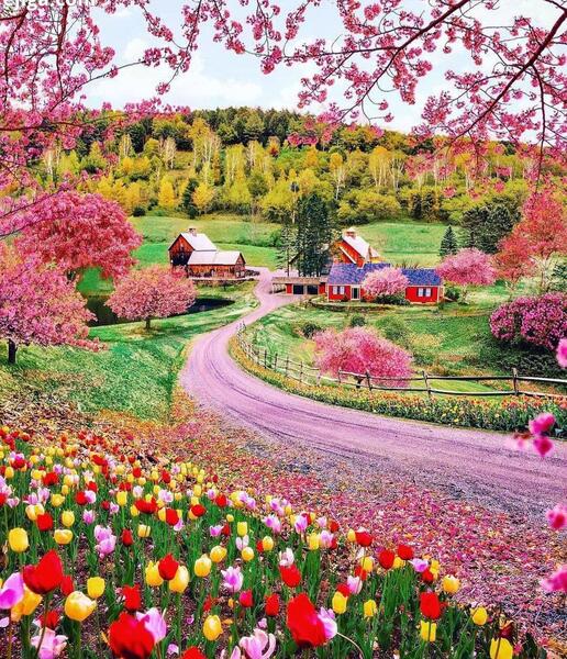 عکس بهار آمریکا