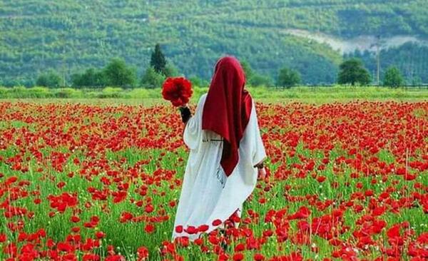 عکس بهار حجاب