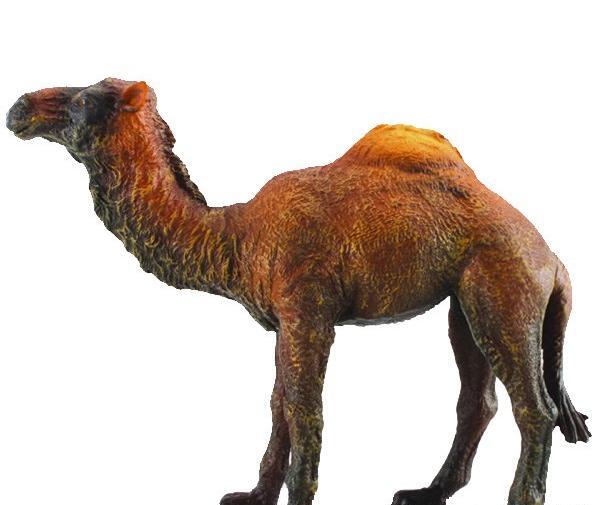 عکس شتر عروسکی