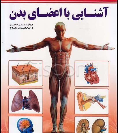 عکس آناتومی بدن برای کودکان