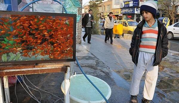 عکس سفره هفت سین پایتخت