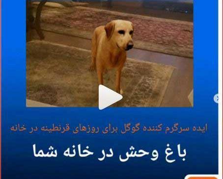 عکس سه بعدی حیوانات با گوگل