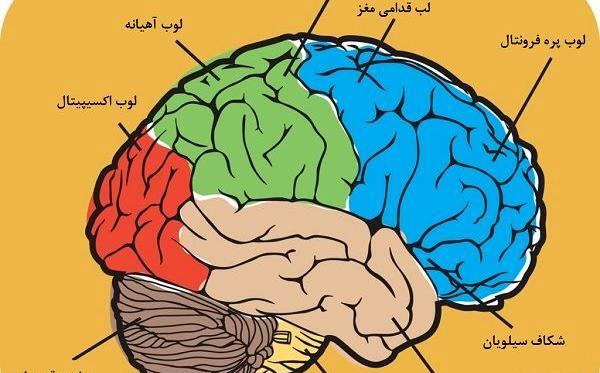 عکس هایی که ذهن را به چالش می کشد