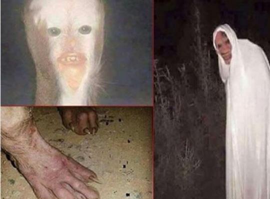 عکس شیخ جن گیر