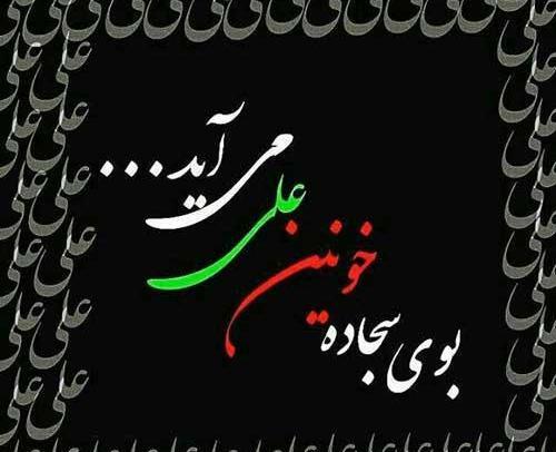 عکس پروفایل شب ضربت خوردن حضرت علی