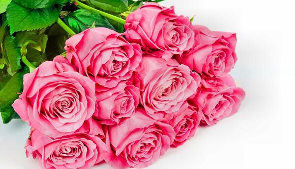 عکس دسته گل رز زیبا