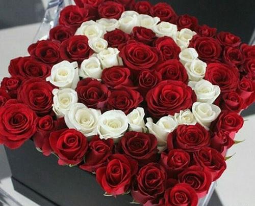 عکس دسته گل رز زیبا