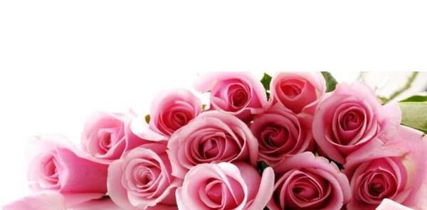 عکس دسته گل رز زیبا