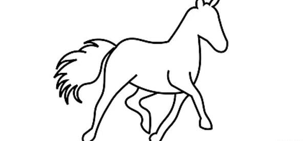 عکس اسب نقاشی شده
