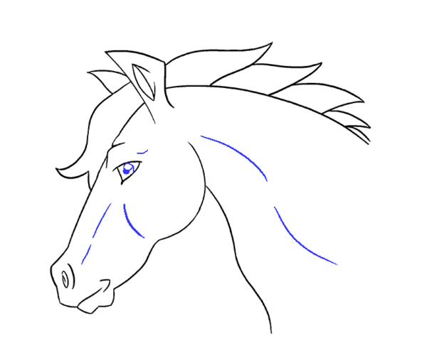 عکس اسب نقاشی شده