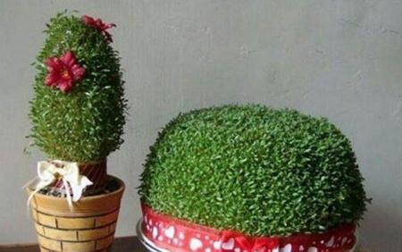 عکس چند مدل سبزه عید