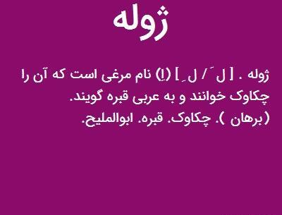 عکس حیوان ژوژه