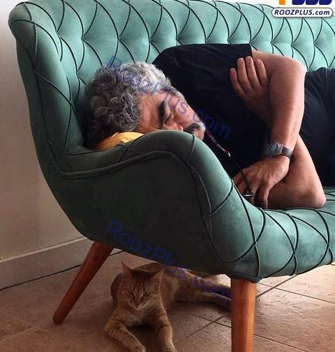 عکس حیوان ژوژه