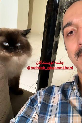 عکس حیوان ژوژه