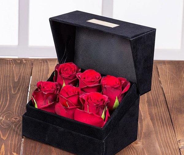 عکس پروفایل کادو طبیعی