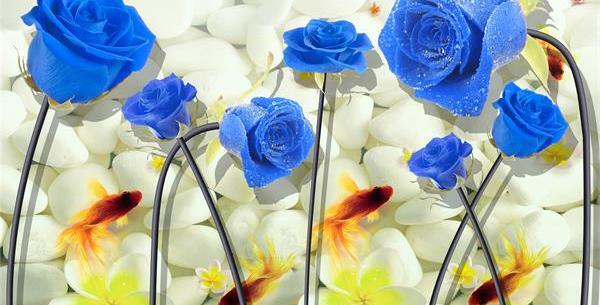 عکس سه بعدی آبی