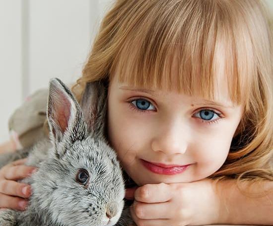 عکس خرگوش غمگین برای پروفایل