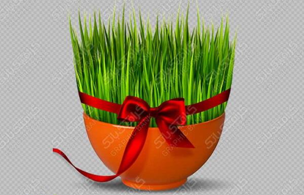 عکس سبزه عید کارتونی