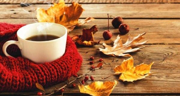 عکس چای پاییز