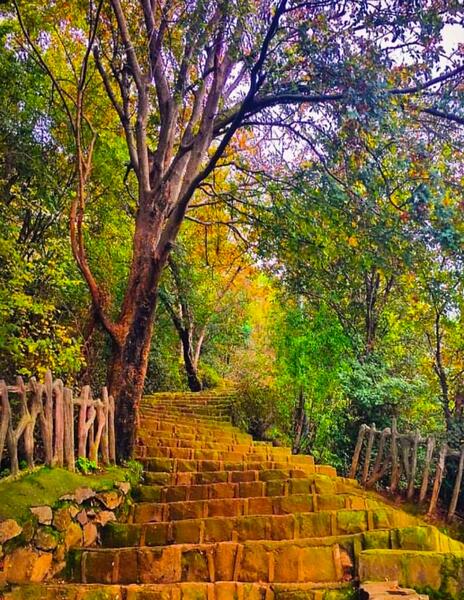 عکس شیطان کوه لاهیجان
