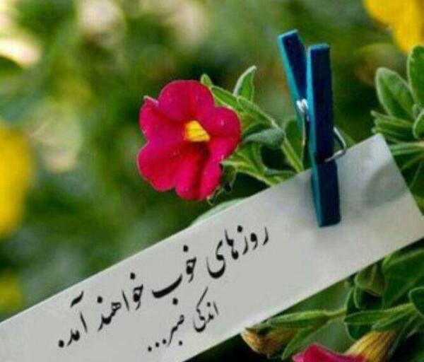 عکس ذهن موفق