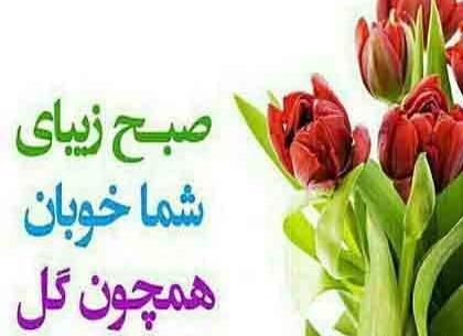 عکس صبح بخیر گروه