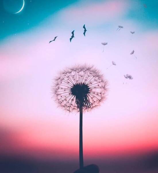 عکس ساده جدید برای پروفایل