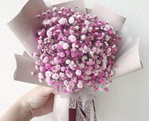 عکس گل ژیپسوفیلا