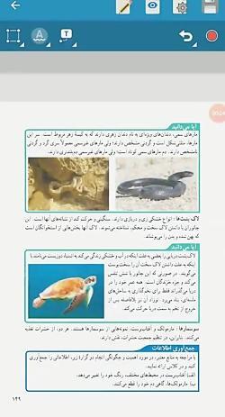 عکس حیوانات مهره دار