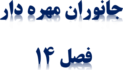 عکس حیوانات مهره دار