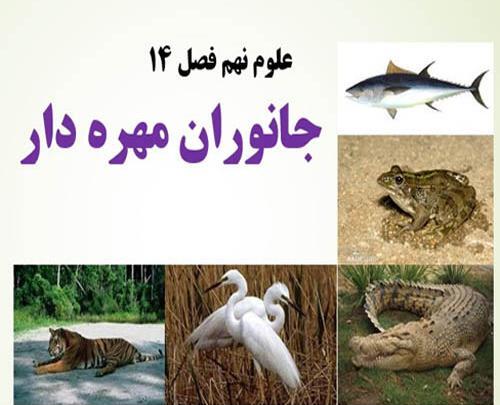 عکس حیوانات مهره دار