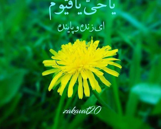عکس ذکر روز دوشنبه با معنی