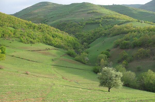 عکس زیبای طبیعت قره داغ