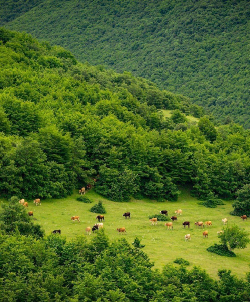 عکس زیبای طبیعت قره داغ