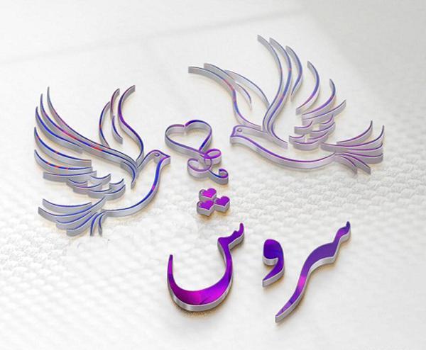 عکس دخترونه برای پروفایل سروش