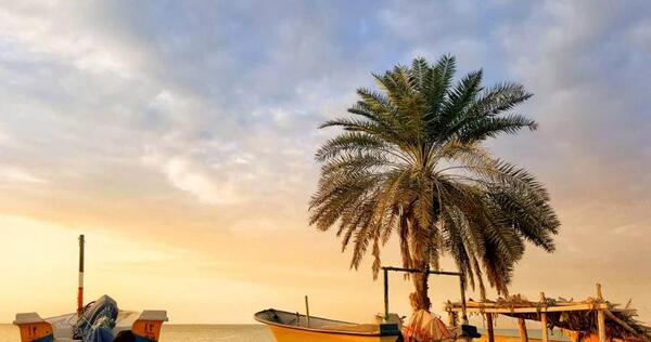عکس دریا جاسک