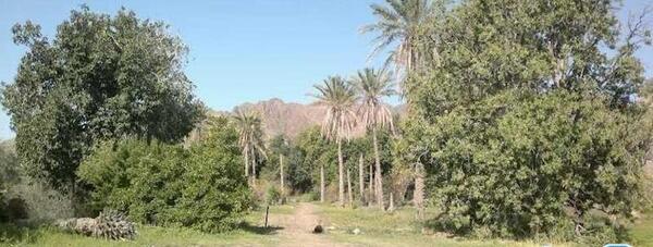 عکس از طبیعت منوجان