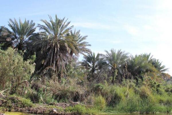 عکس از طبیعت منوجان