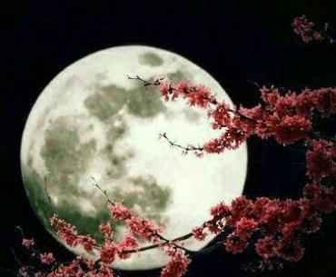 عکس نوشته خدایا فراموشم نکن