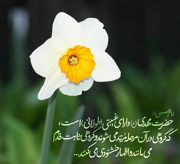 عکس امام زمان با گل نرگس