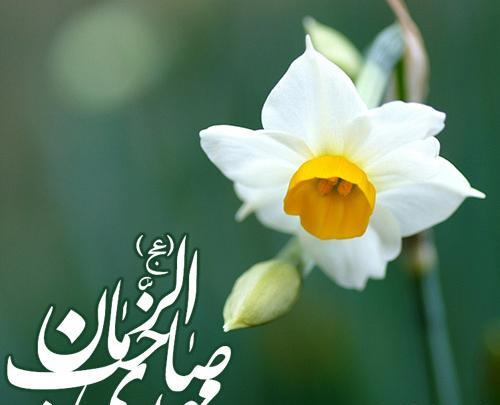 عکس امام زمان با گل نرگس