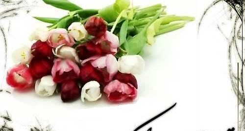 عکس پیام تبریک تولد قشنگ