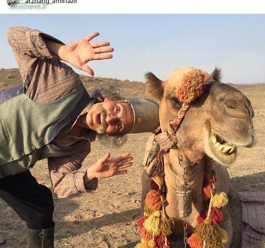 عکس طنز شتر