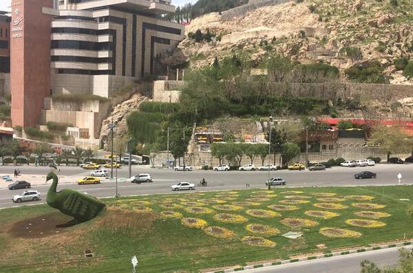 عکس طاووس جدید دروازه قران شیراز