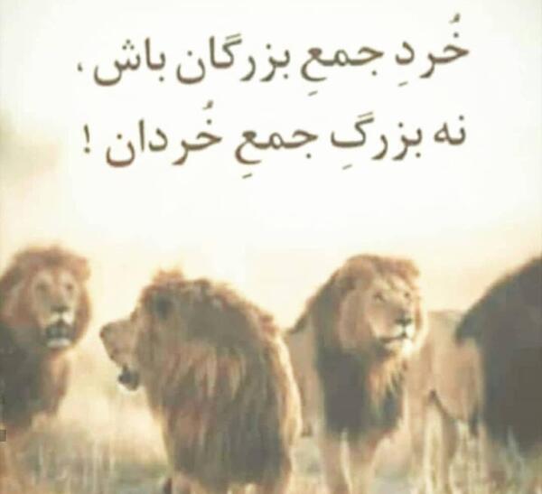 عکس نوشته تیکه دار شیر
