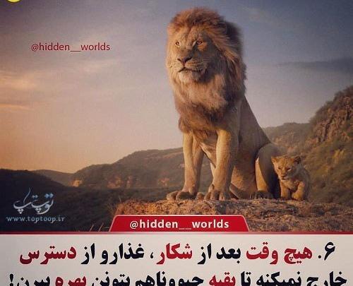 عکس نوشته تیکه دار شیر