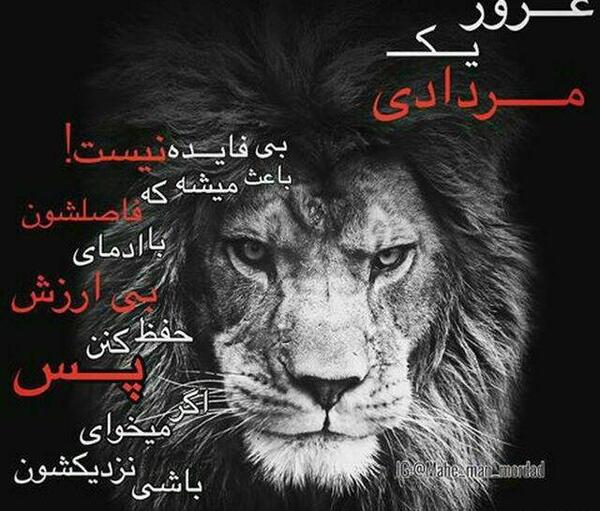 عکس نوشته تیکه دار شیر