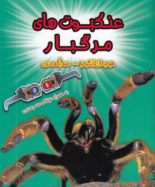 عکس سه بعدی عنکبوت