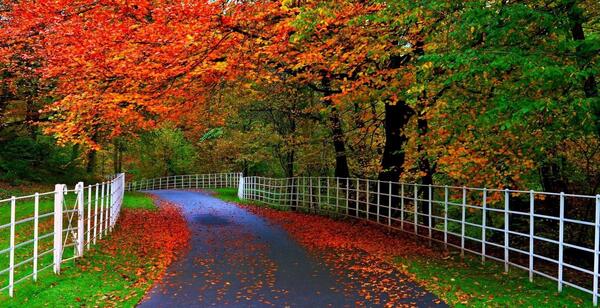 عکس طبیعت خوشگل
